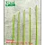 綠竹2尺半/支撐柱/植物攀爬柱
